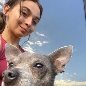 Meet your Posher, Ariel